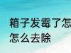 箱子发霉了怎么处理掉 箱子上的霉斑怎么去除