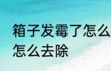箱子发霉了怎么处理掉 箱子上的霉斑怎么去除