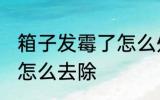 箱子发霉了怎么处理掉 箱子上的霉斑怎么去除