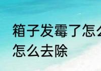 箱子发霉了怎么处理掉 箱子上的霉斑怎么去除