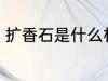 扩香石是什么材料做的 扩香石的应用