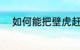 如何能把壁虎赶走 如何驱赶壁虎