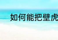如何能把壁虎赶走 如何驱赶壁虎