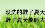 没洗的鞋子夏天可以晒太阳吗 没洗的鞋子夏天能晒太阳吗