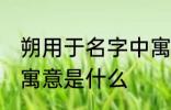 朔用于名字中寓意好吗 朔用于名字中寓意是什么