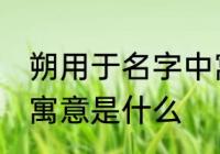 朔用于名字中寓意好吗 朔用于名字中寓意是什么