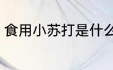 食用小苏打是什么 食用小苏打的介绍