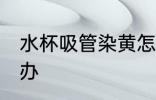 水杯吸管染黄怎么办 水杯吸管染黄咋办