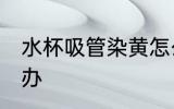 水杯吸管染黄怎么办 水杯吸管染黄咋办