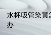 水杯吸管染黄怎么办 水杯吸管染黄咋办