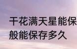 干花满天星能保存多久 干花满天星一般能保存多久