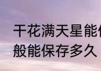 干花满天星能保存多久 干花满天星一般能保存多久