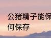 公猪精子能保存多久 公猪精子应该如何保存