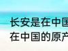 长安是在中国的原产地吗 长安是不是在中国的原产地