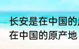 长安是在中国的原产地吗 长安是不是在中国的原产地