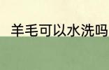 羊毛可以水洗吗 羊毛可不可以水洗