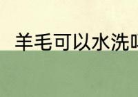 羊毛可以水洗吗 羊毛可不可以水洗