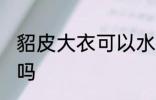 貂皮大衣可以水洗吗 貂皮大衣能水洗吗