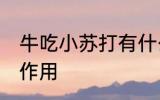 牛吃小苏打有什么作用 牛吃小苏打的作用