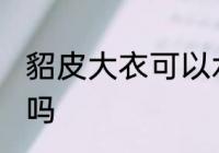 貂皮大衣可以水洗吗 貂皮大衣能水洗吗