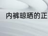 内裤晾晒的正确方法 怎么晾晒内裤