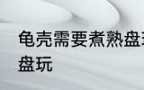 龟壳需要煮熟盘玩吗 龟壳要不要煮熟盘玩