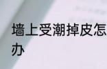 墙上受潮掉皮怎么办 墙上受潮掉皮咋办