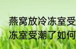 燕窝放冷冻室受潮了怎么办 燕窝放冷冻室受潮了如何处理