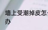 墙上受潮掉皮怎么办 墙上受潮掉皮咋办