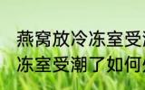 燕窝放冷冻室受潮了怎么办 燕窝放冷冻室受潮了如何处理