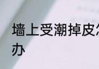 墙上受潮掉皮怎么办 墙上受潮掉皮咋办