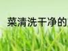 菜清洗干净的方法 菜怎么清洗干净