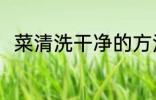 菜清洗干净的方法 菜怎么清洗干净