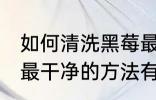 如何清洗黑莓最干净的方法 清洗黑莓最干净的方法有哪些