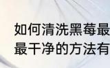 如何清洗黑莓最干净的方法 清洗黑莓最干净的方法有哪些