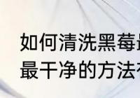 如何清洗黑莓最干净的方法 清洗黑莓最干净的方法有哪些