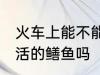 火车上能不能带活的鳝鱼 火车上能带活的鳝鱼吗