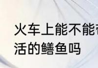 火车上能不能带活的鳝鱼 火车上能带活的鳝鱼吗