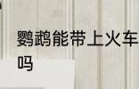 鹦鹉能带上火车吗 鹦鹉可以带上火车吗