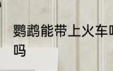 鹦鹉能带上火车吗 鹦鹉可以带上火车吗