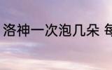 洛神一次泡几朵 每次泡多少洛神花好
