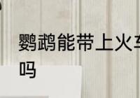 鹦鹉能带上火车吗 鹦鹉可以带上火车吗