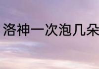 洛神一次泡几朵 每次泡多少洛神花好