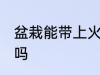 盆栽能带上火车吗 火车上可以带盆栽吗