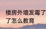 楼房外墙发霉了怎么办 楼房外墙发霉了怎么教育