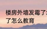楼房外墙发霉了怎么办 楼房外墙发霉了怎么教育