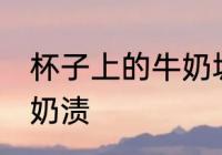 杯子上的牛奶垢怎么去 怎么洗杯子的奶渍